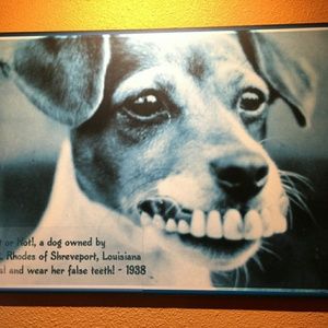 Meet your Posher, Conrad